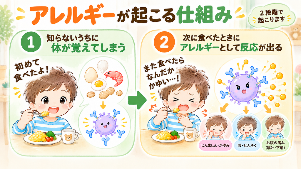 アレルギーが起こる仕組み