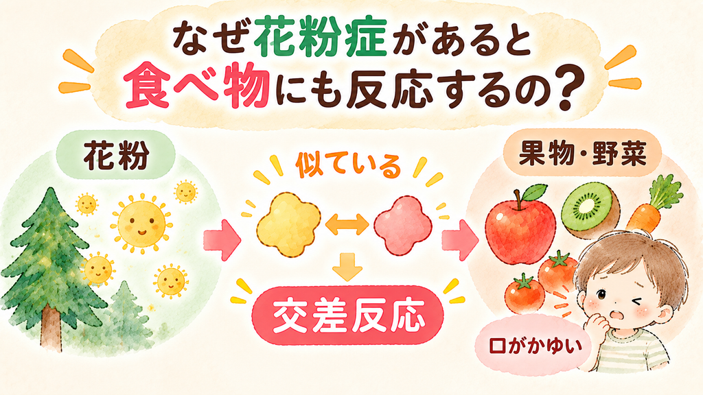 なぜ花粉症があると食べ物にも反応するの?