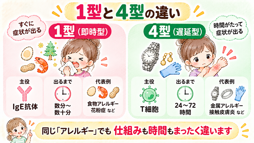 1型と4型の違い