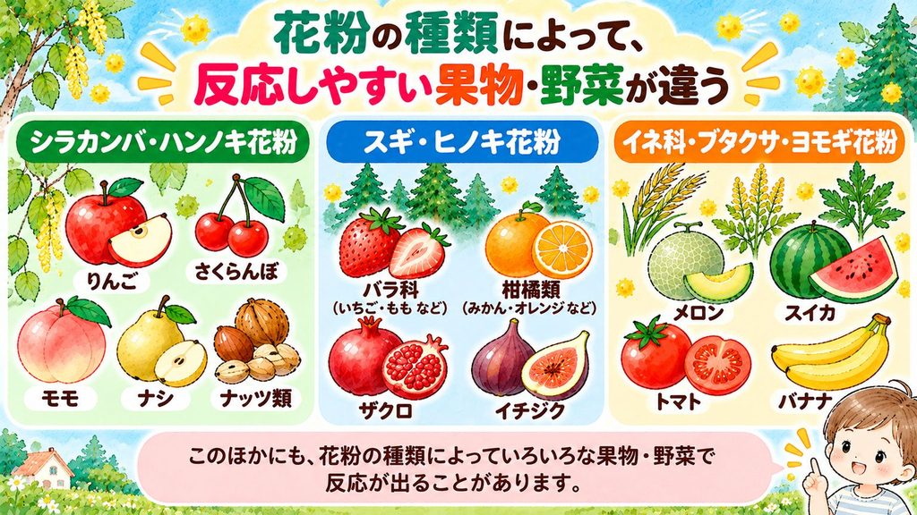 花粉の種類によって、反応しやすい果物・野菜が違う
